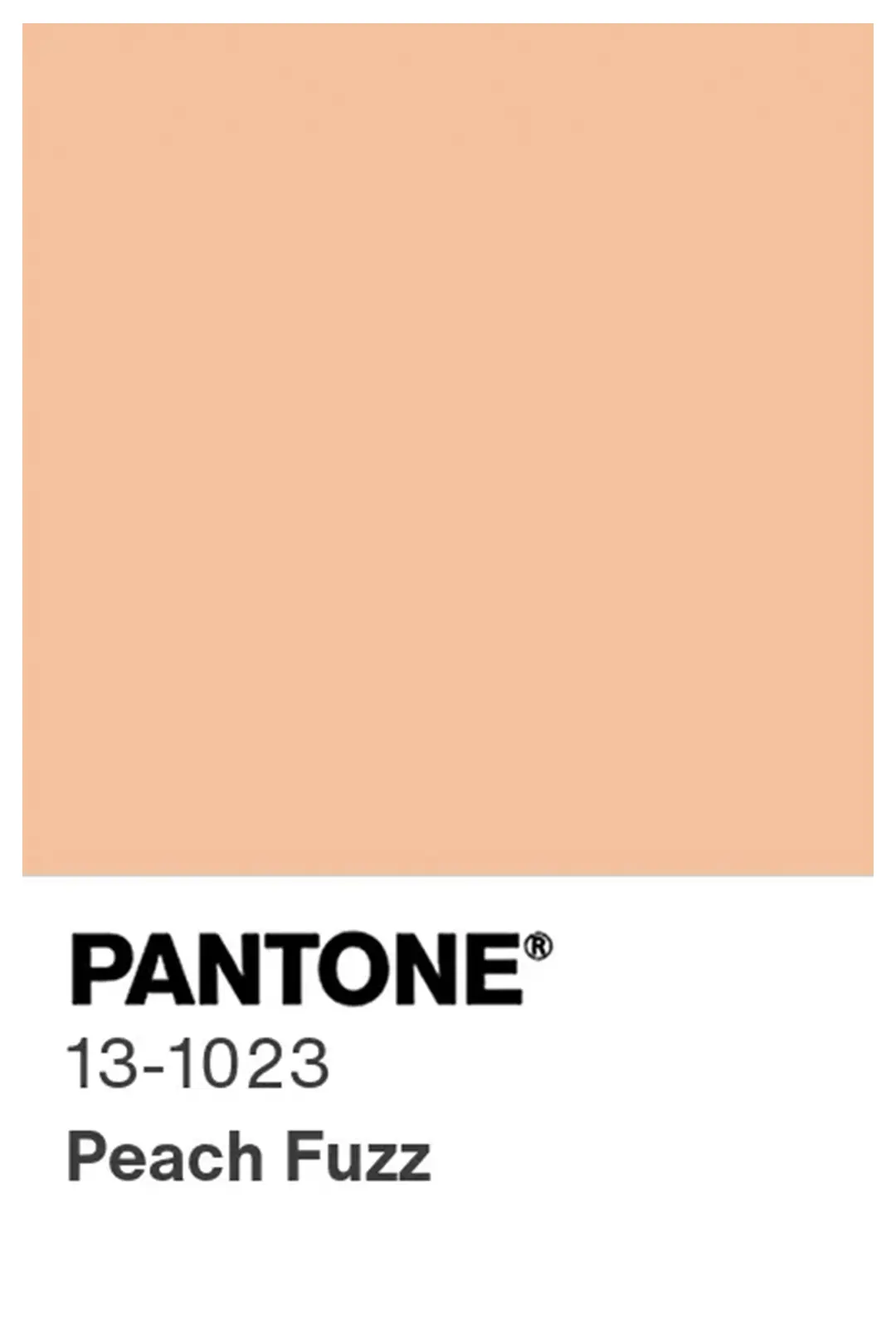 Pantone peach fuzz colour chip